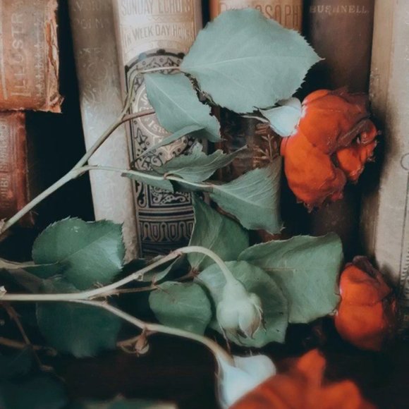 Meet your Posher, Alexandria - Picture 2 of 6